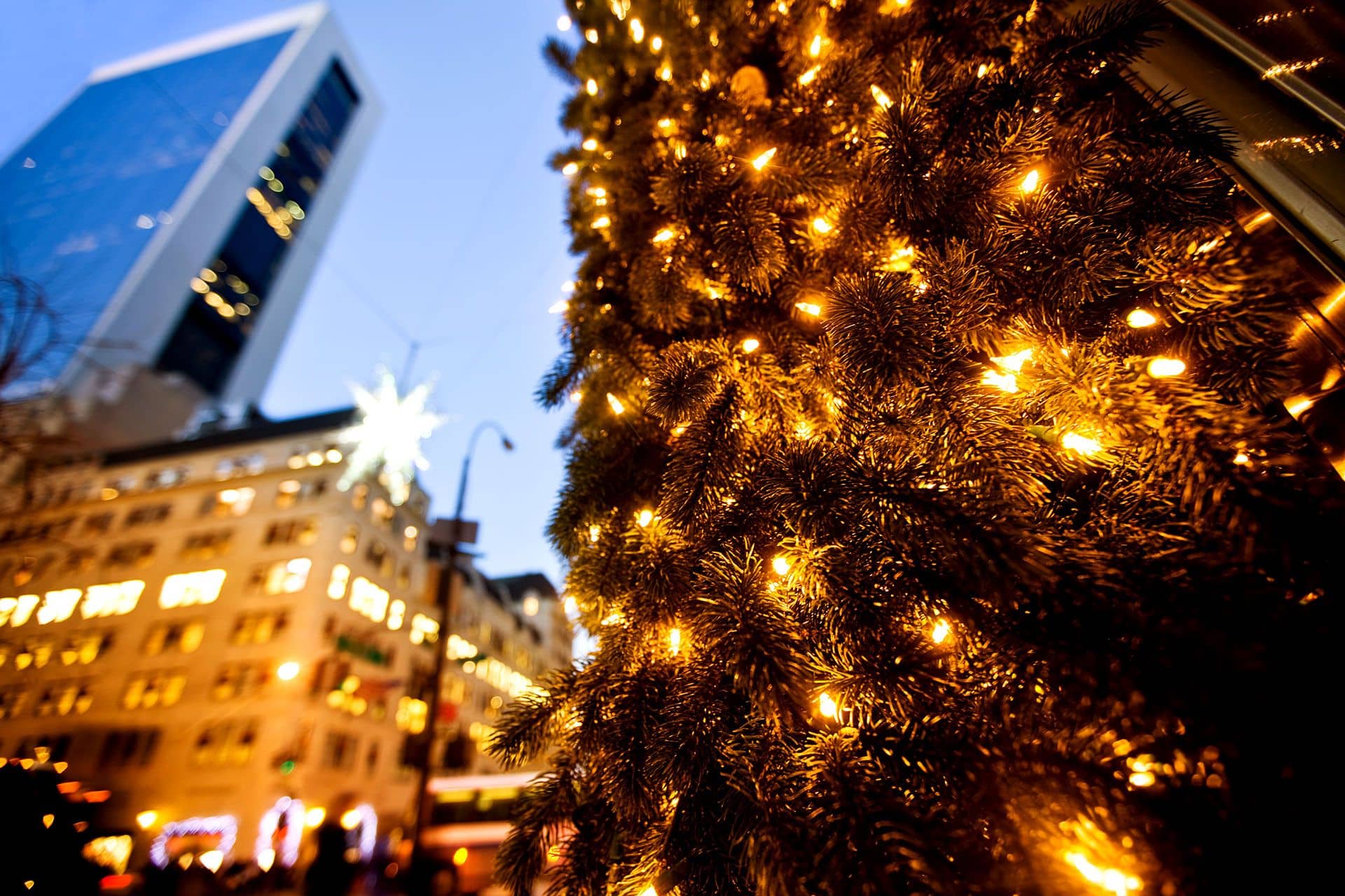Christmas Shopping in New York City