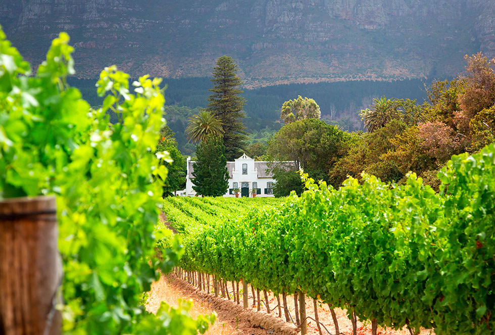 Stellenbosch