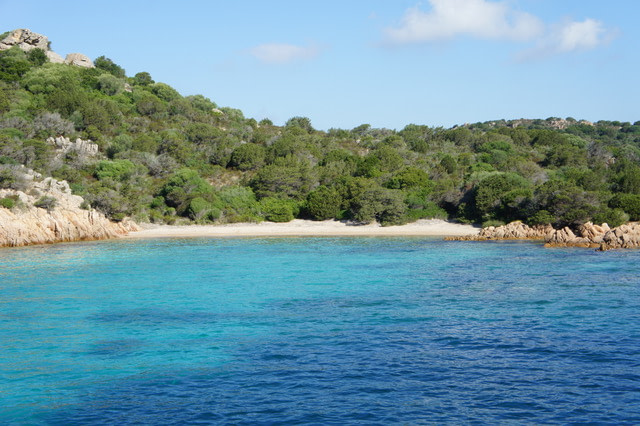 Rosa Strand von La Maddalena