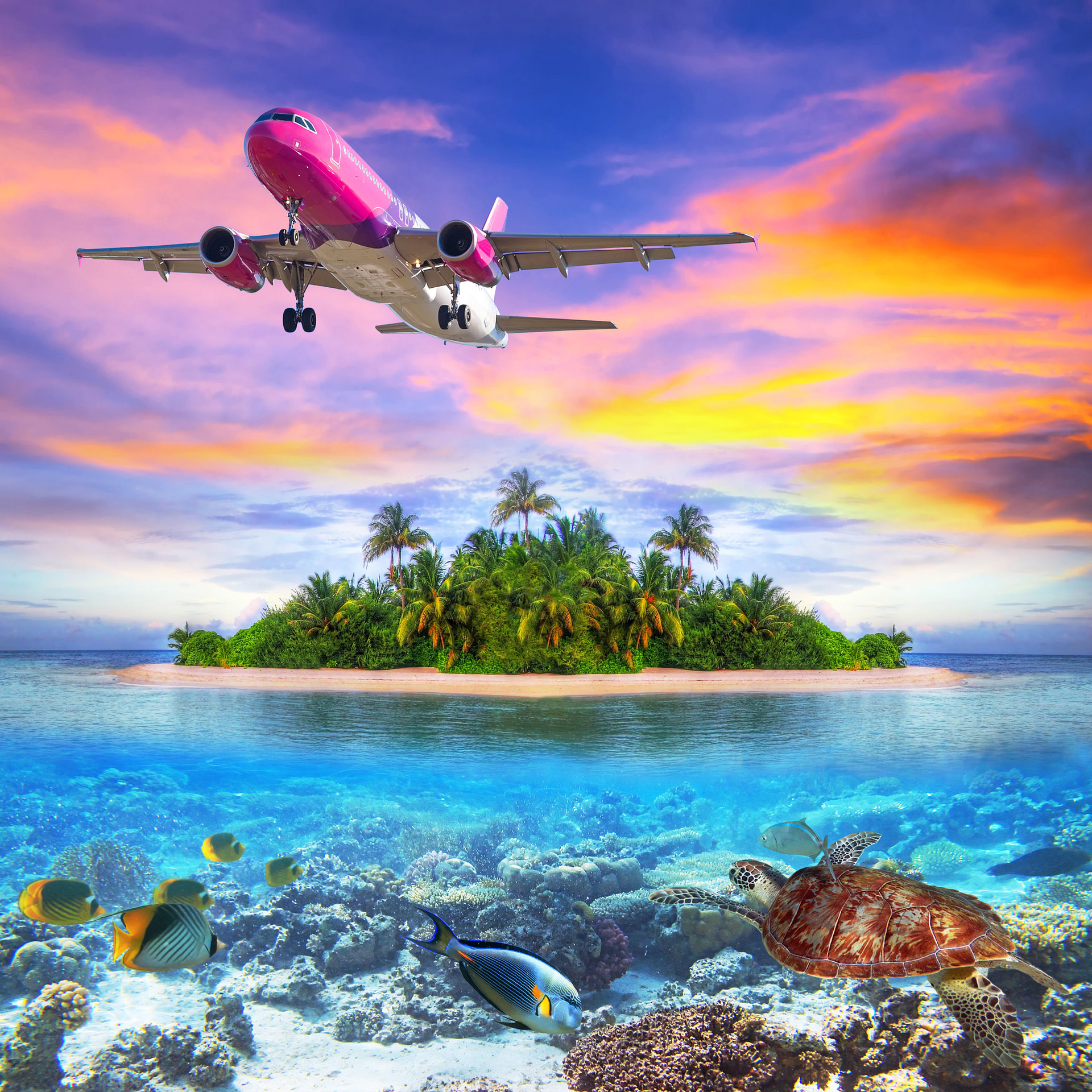 Flugzeug fliegt über Sandinsel mit Palmen und Meer mit Korallen, Fischen und Schildkröte