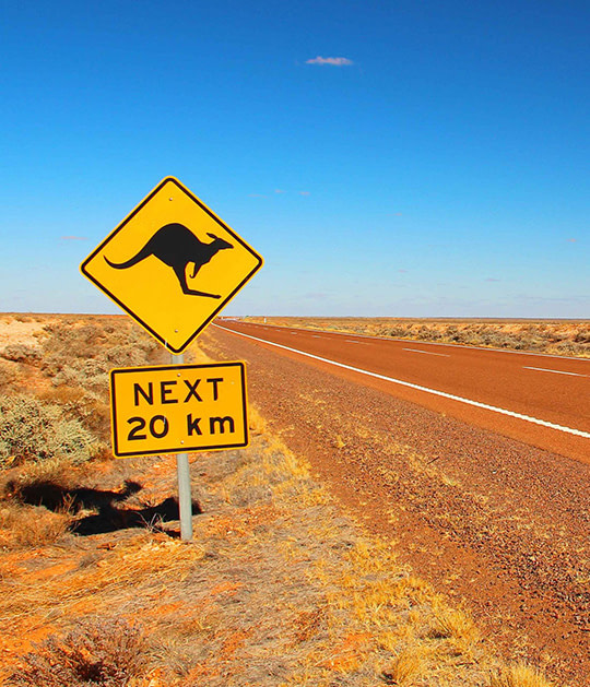 Australien Känguru Straßenschild