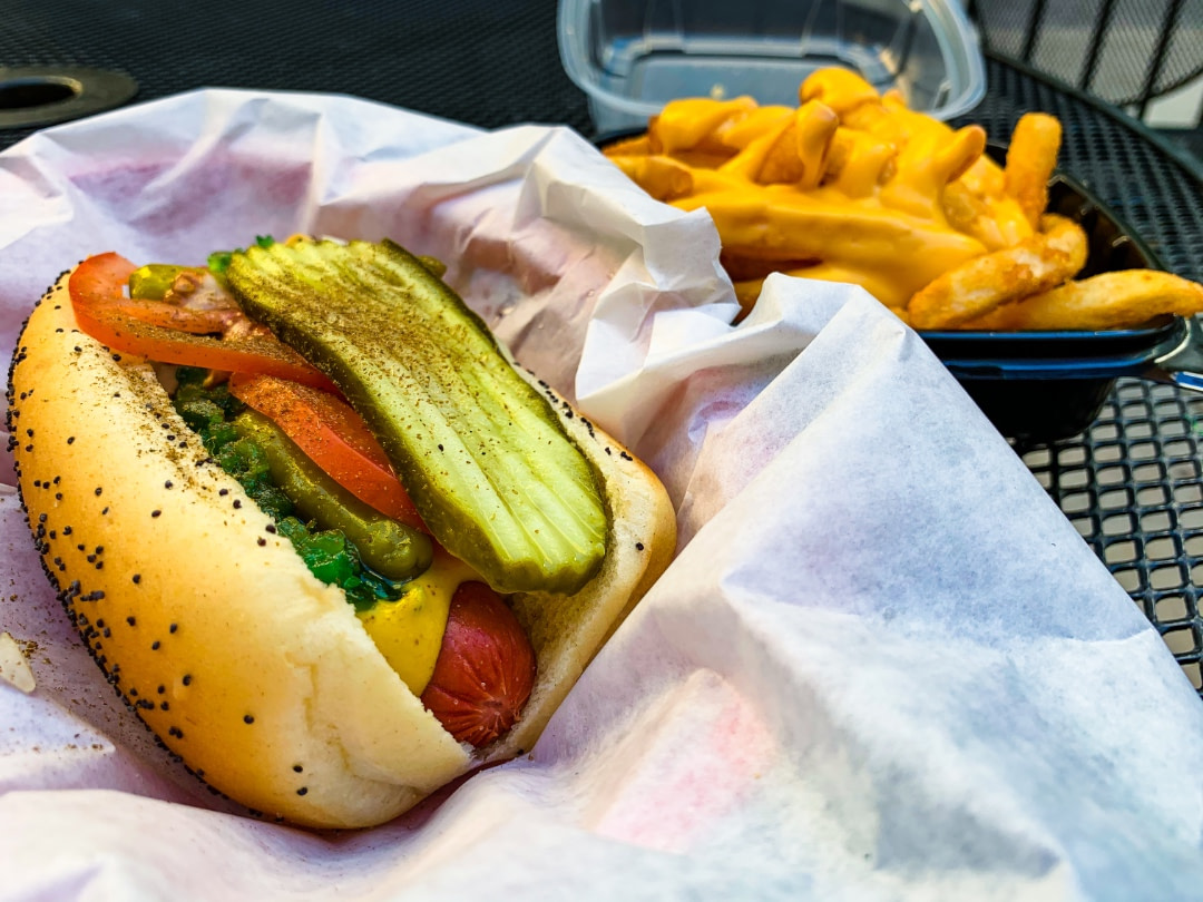 Chicago Hotdog