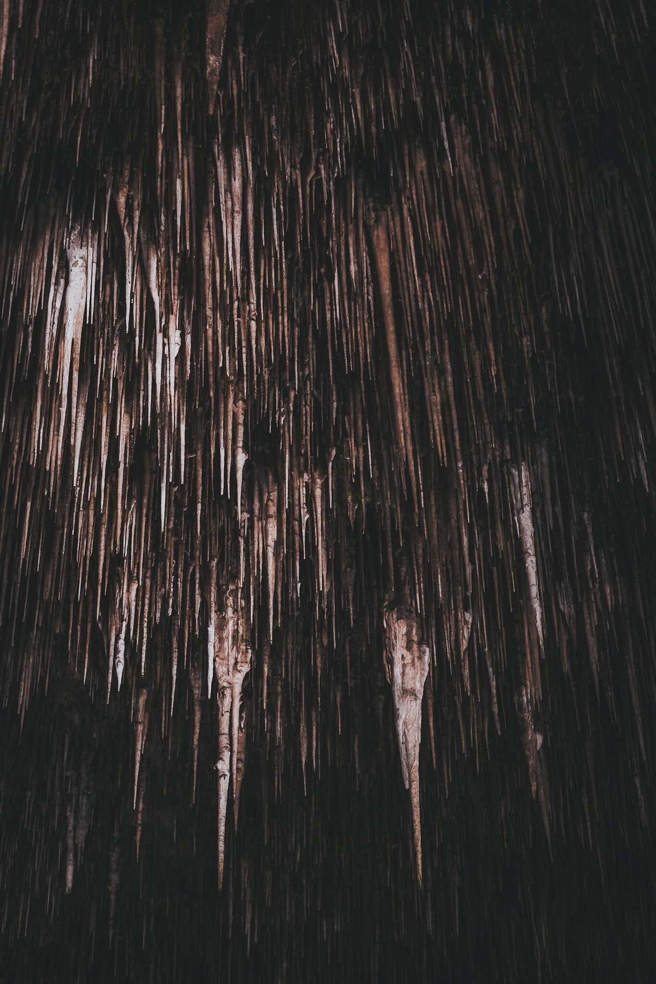 Drach Höhle Mallorca von innen