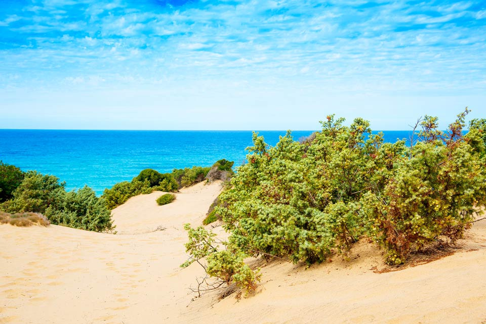 Blick auf die Dünen von Piscinas und das Meer