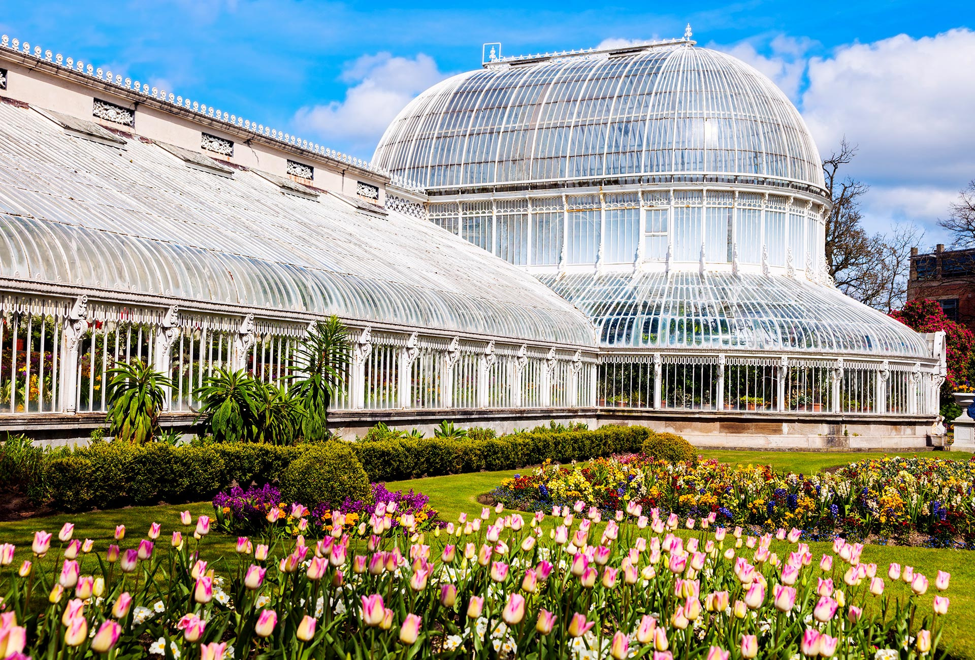 Blühende Blumen vor dem Botanischen Garten in Belfast
