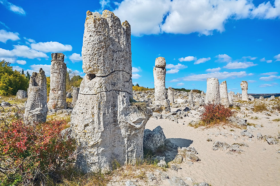 Stone forrest