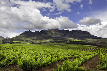 Kapstadt_Stellenbosch
