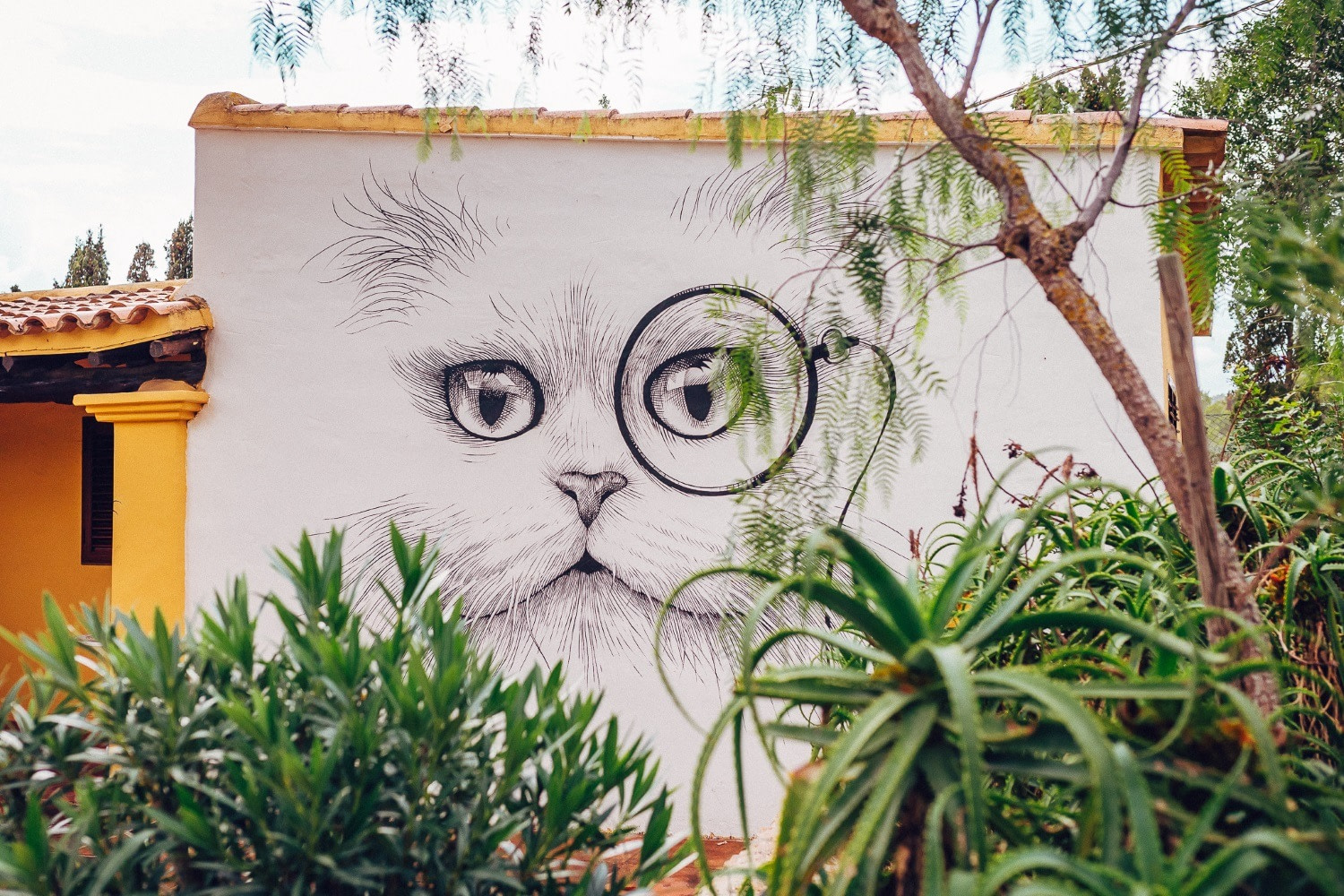 Pikes Ibiza